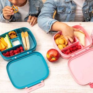 Stephen Joseph Bento Lunch Box with Removable Tray