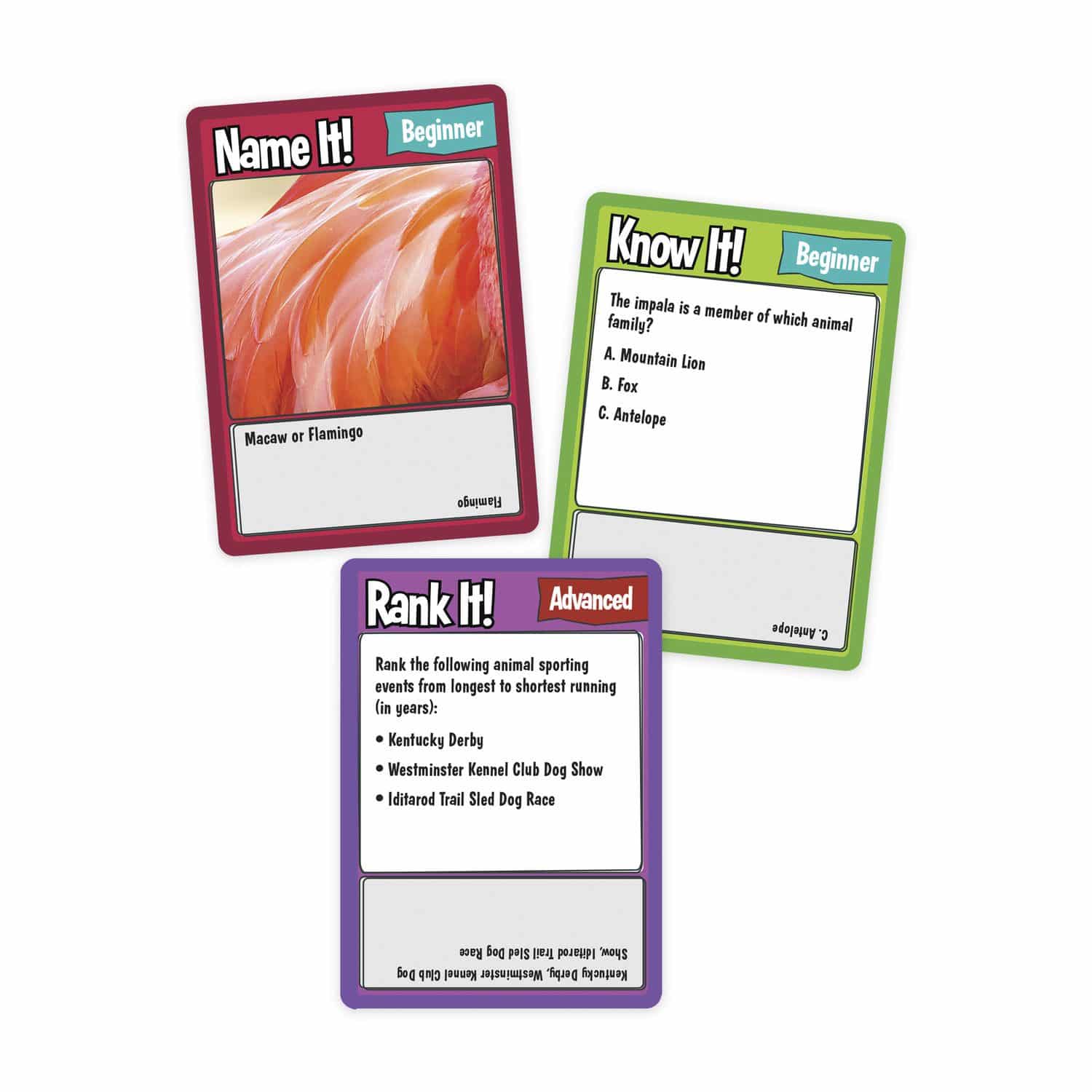 RS77670_68233_Animal-Trivia_cards-web.jpg