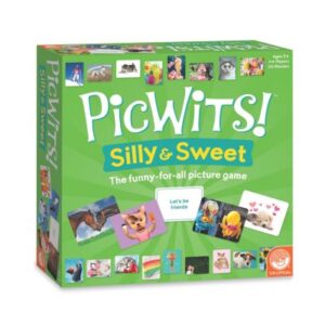 Mindware Picwits Silly & Sweet Family Game