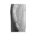 Bastion Disposable Sleeve Protectors | 100 Covers - Image 3